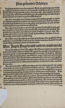 Load image into Gallery viewer, German School XVI C. Oath of fealty. 1518. Woodcut from Laienspiegel  by Ulrich Tengler.
