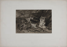 Load image into Gallery viewer, Eugène Delacroix, after. Young Tiger Playing with Its Mother. Reproduction print. XX C.
