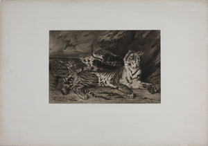 Eugène Delacroix, after. Young Tiger Playing with Its Mother. Reproduction print. XX C.