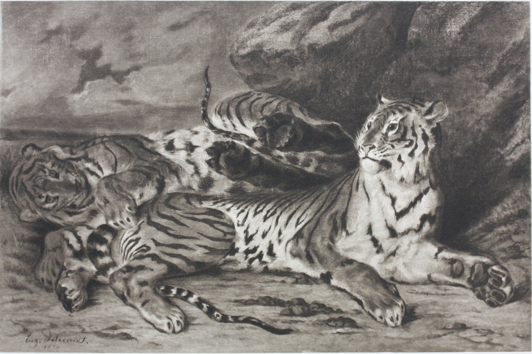 Eugène Delacroix, after. Young Tiger Playing with Its Mother. Reproduction print. XX C.