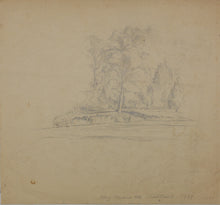 Load image into Gallery viewer, Study of trees. University of Virginia. Pencil drawing. 1939.
