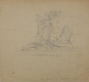 Study of trees. University of Virginia. Pencil drawing. 1939.