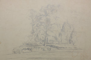 Study of trees. University of Virginia. Pencil drawing. 1939.