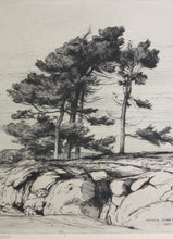 Load image into Gallery viewer, Walter John James, 3rd Baron Northbourne. Landscape. Etching. 1907.
