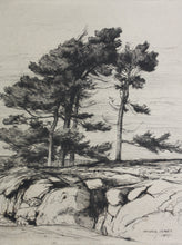 Load image into Gallery viewer, Walter John James, 3rd Baron Northbourne. Landscape. Etching. 1907.
